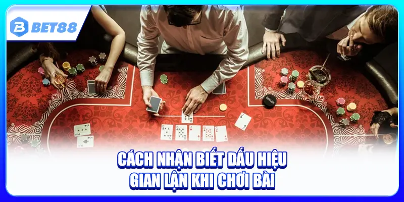 Dealer Chia Bài Có Bịp Không