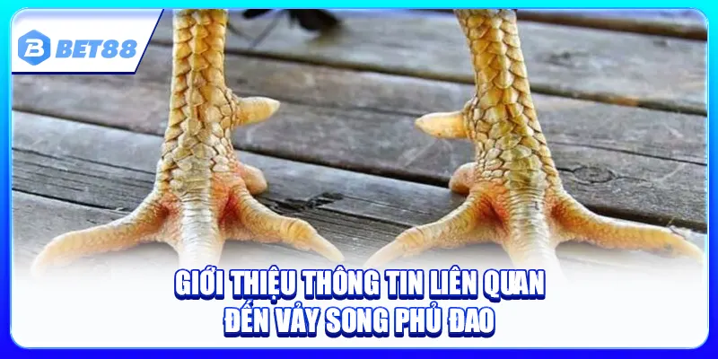 Vảy Song Phủ Đao