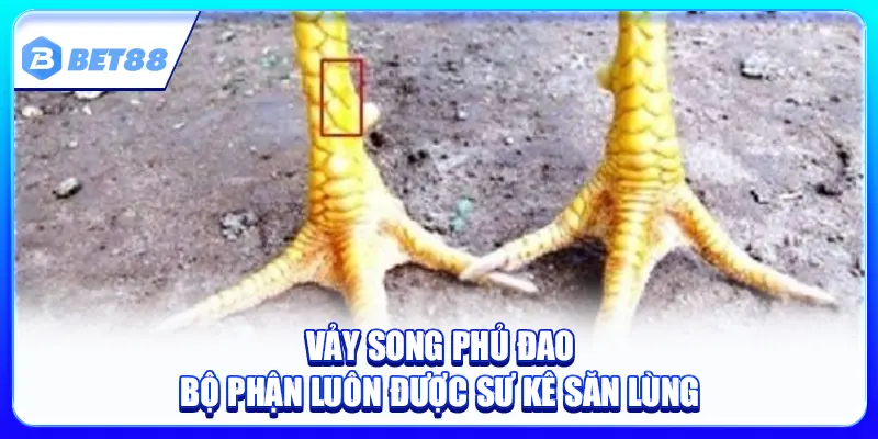 Vảy Song Phủ Đao